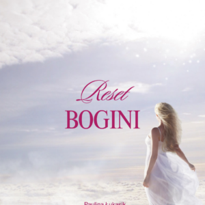Reset Bogini